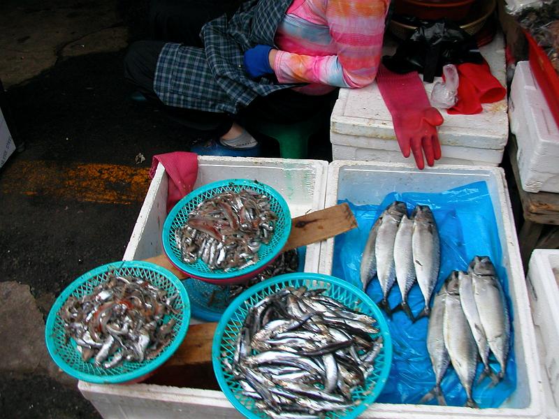 DSCN7637.jpg - Chinhae market