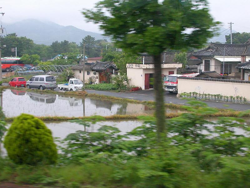 DSCN7677.jpg - My second favorite rice paddy