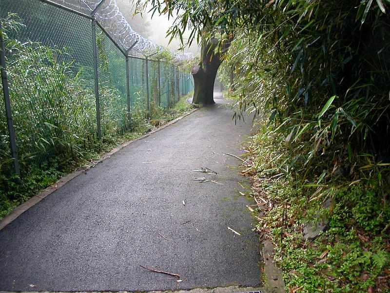 DSCN7699.jpg - The hill I ran up (on Chinhae base)