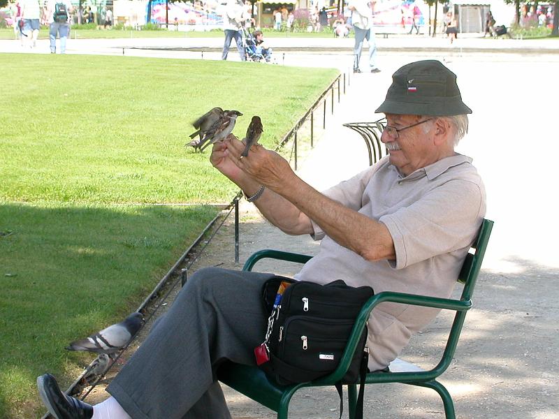 DSCN5179ParisLouvre.JPG - Man feeding the birds