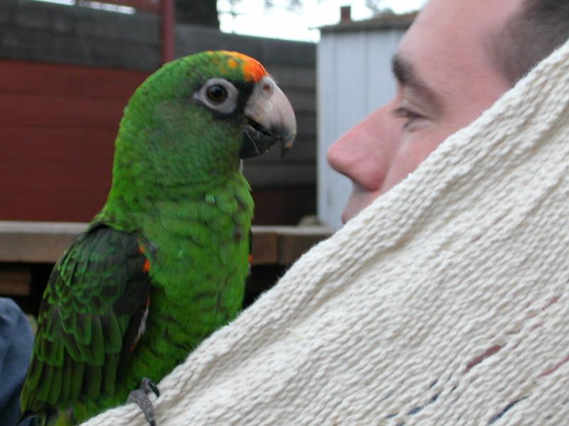 DSCN2884.JPG - Relaxing in the hammock with "dad"