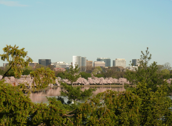 DSCN3878.gif - Downtown DC across the Tidal Basin & cherry blossoms