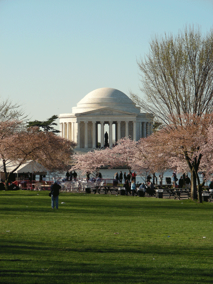 DSCN3898.gif - Even at 9 am, the picnics had begun for the Cherry Blossom Festival