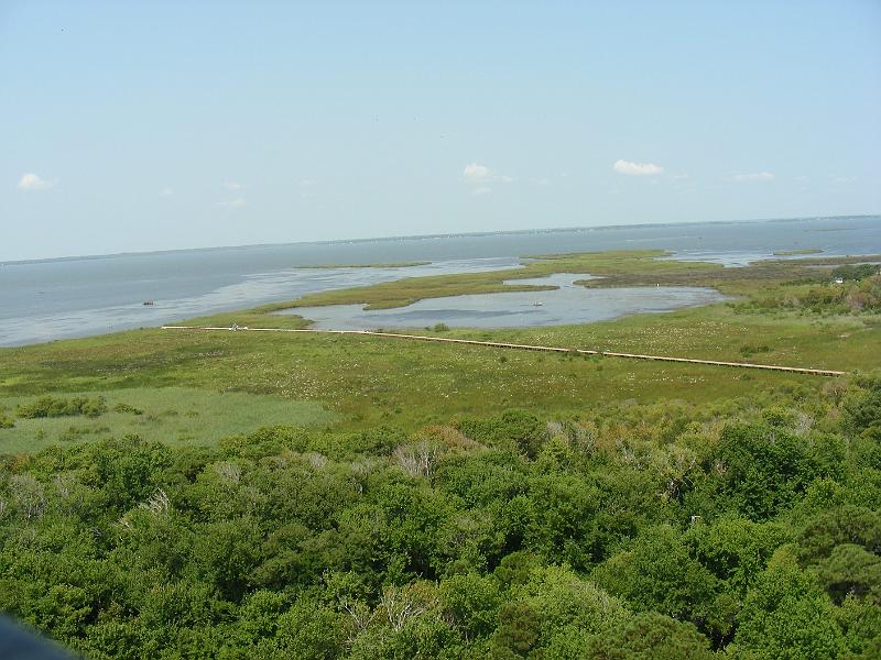 DSCN2593.JPG - View from Currituck Beach Lighthouse